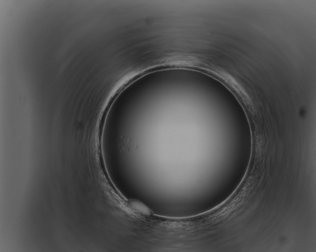 X0000097961240200804011650