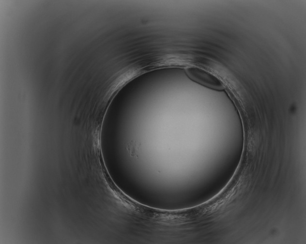 X0000097961241200804011650