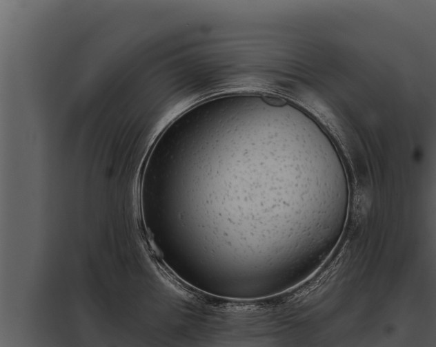 X0000097961242200804011650