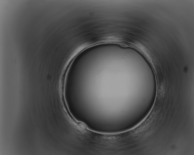 X0000097961243200804011650