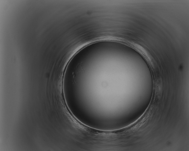 X0000097961244200804011650