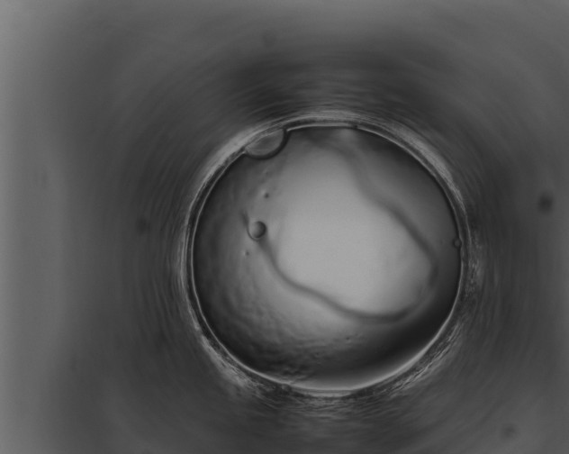 X0000097961245200804011651
