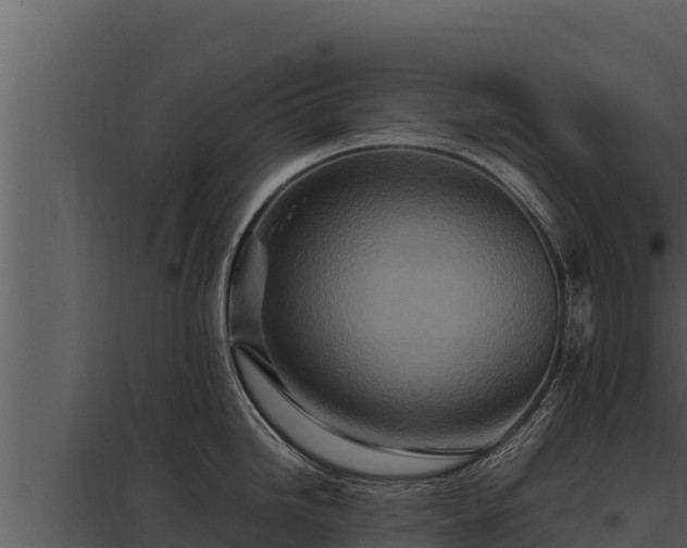 X0000097961246200804011651