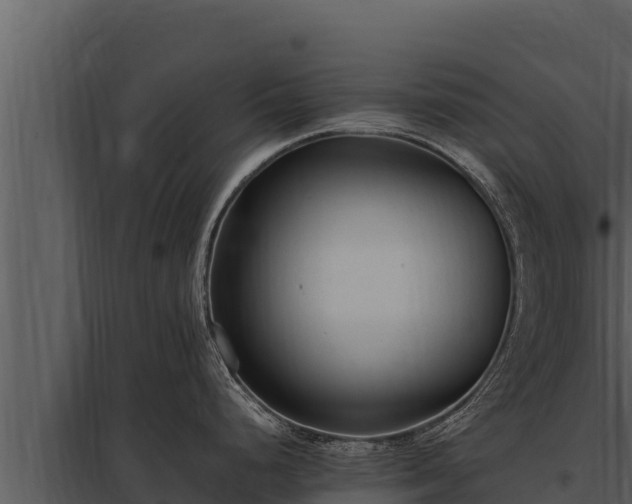 X0000097961248200804011651