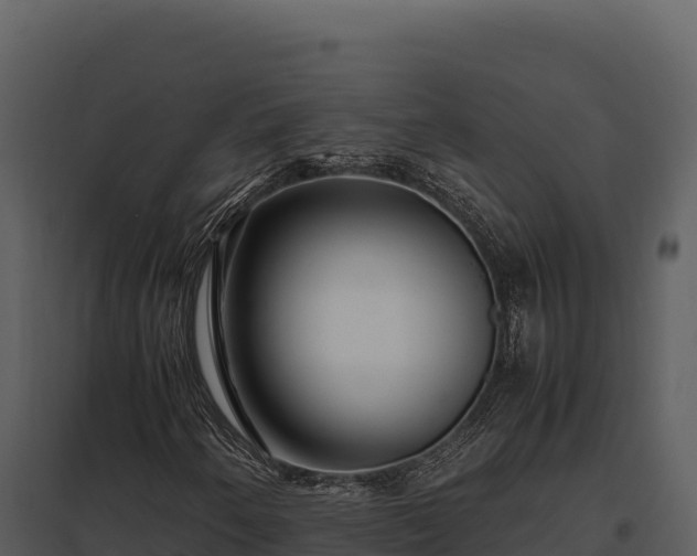 X0000097961250200804011650