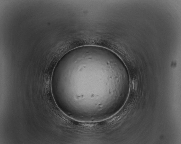 X0000097961251200804011650