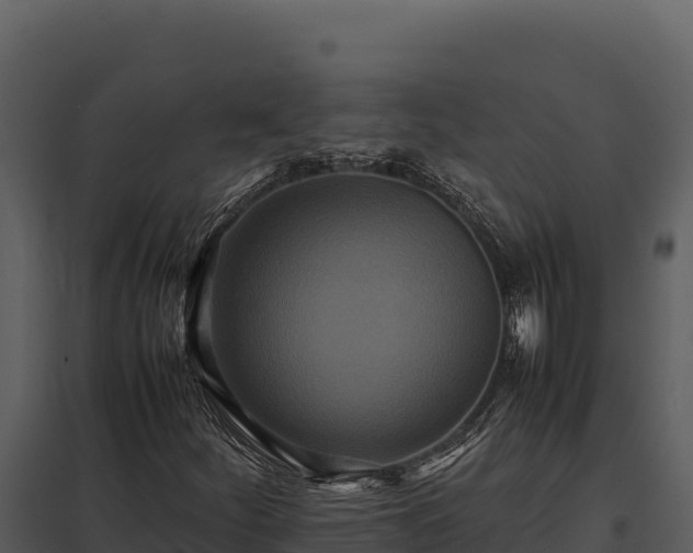 X0000097961252200804011650