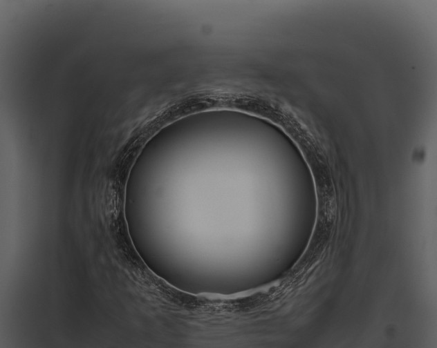 X0000097961253200804011650