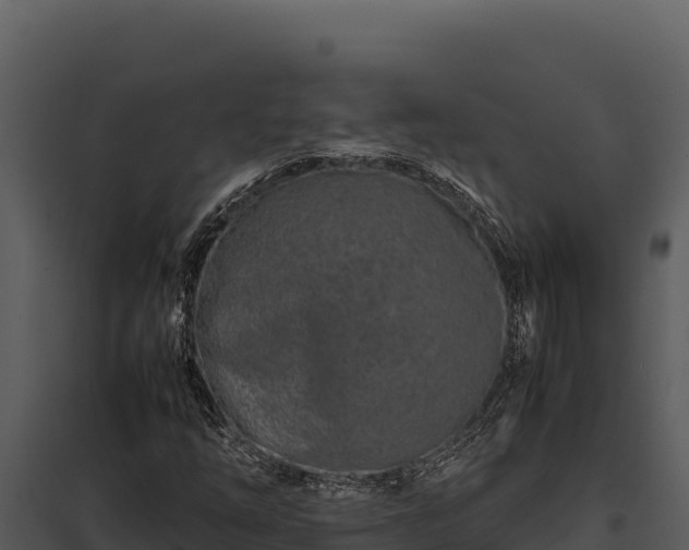 X0000097961254200804011650