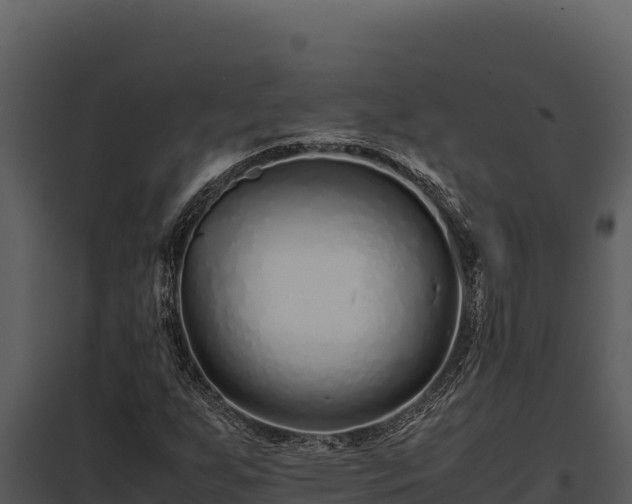 X0000097961255200804011650