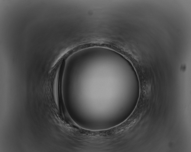 X0000097961256200804011650
