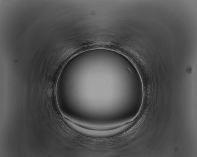 X0000097961257200804011650