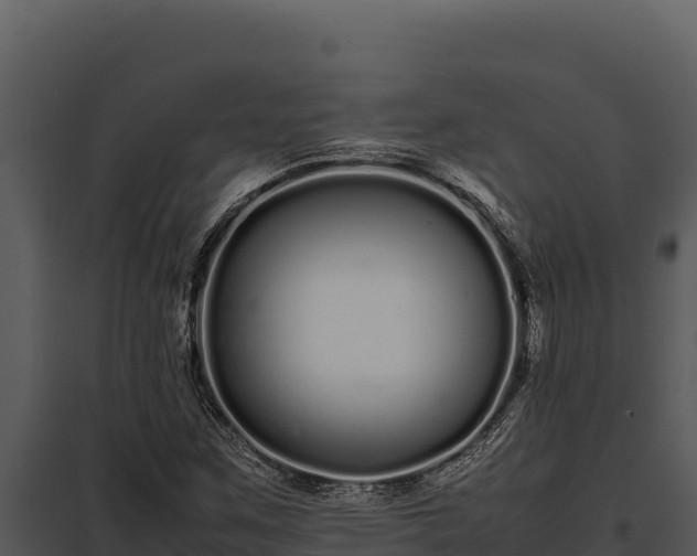 X0000097961259200804011650