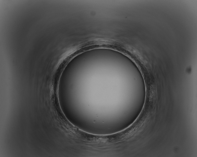 X0000097961261200804011650