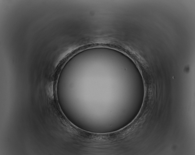 X0000097961262200804011650