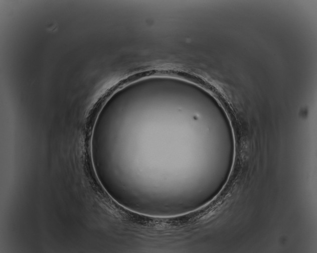 X0000097961263200804011650