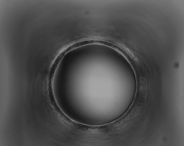 X0000097961264200804011650