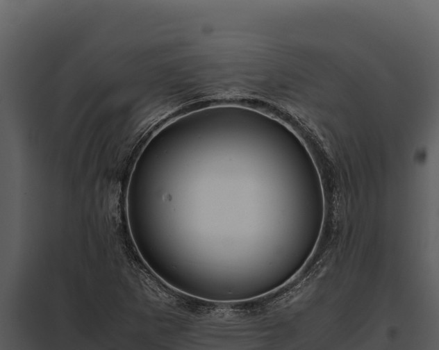 X0000097961265200804011650