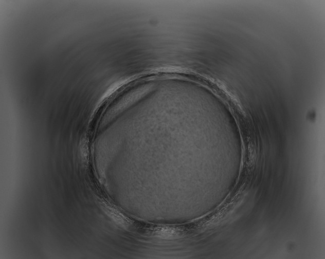 X0000097961266200804011650