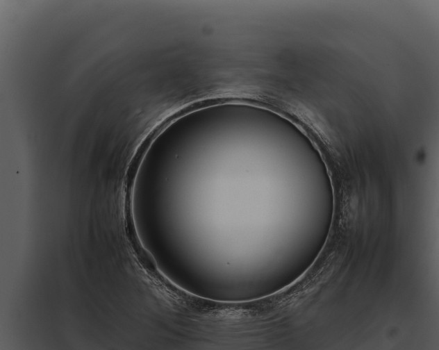 X0000097961268200804011650
