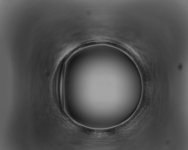 X0000097961269200804011650