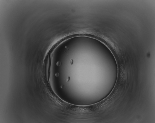 X0000097961270200804011650