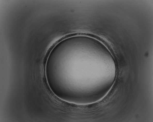 X0000097961271200804011650