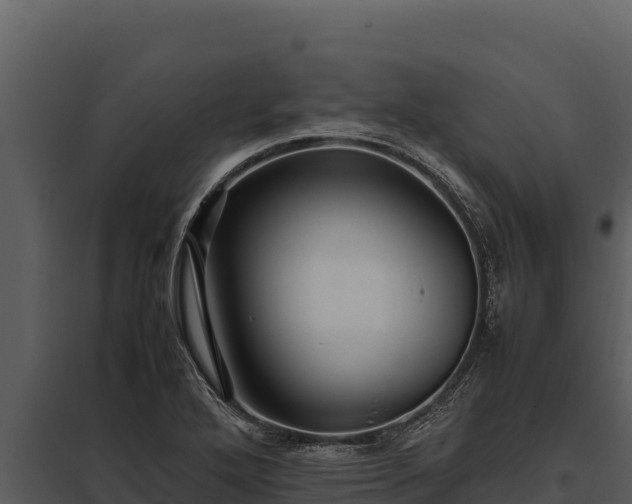 X0000097961272200804011650