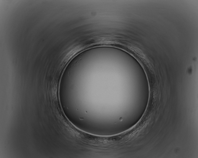X0000097961273200804011650