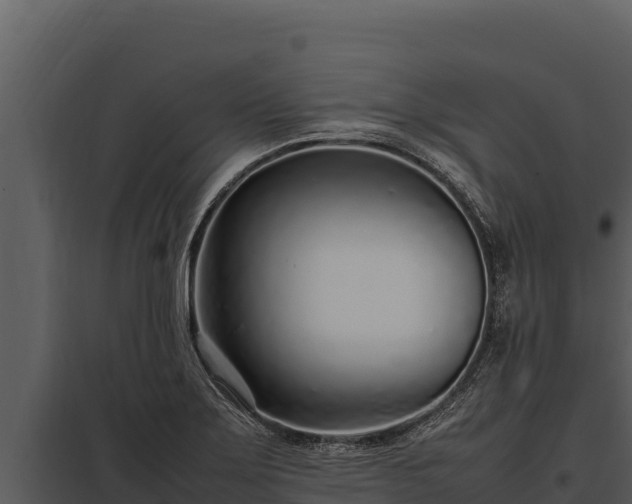 X0000097961275200804011650