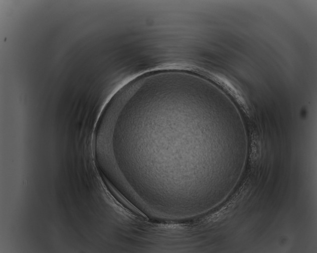 X0000097961276200804011650