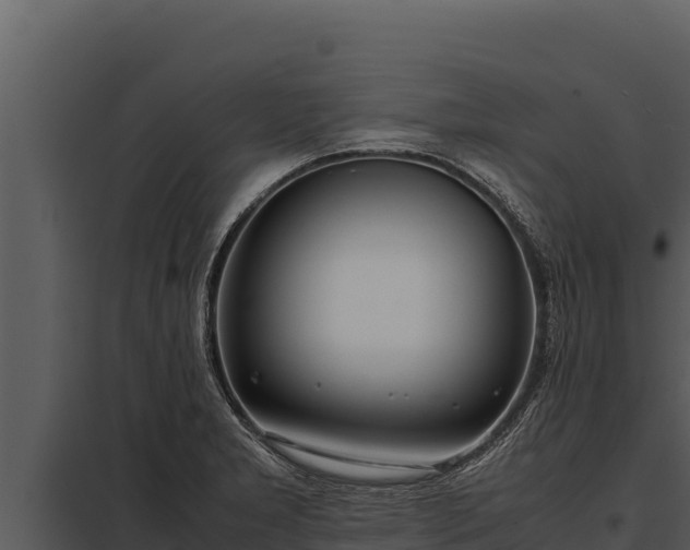 X0000097961277200804011649