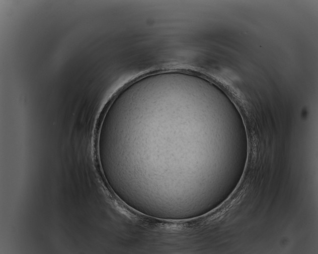 X0000097961278200804011649