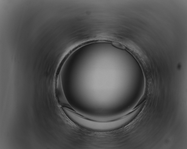 X0000097961280200804011649