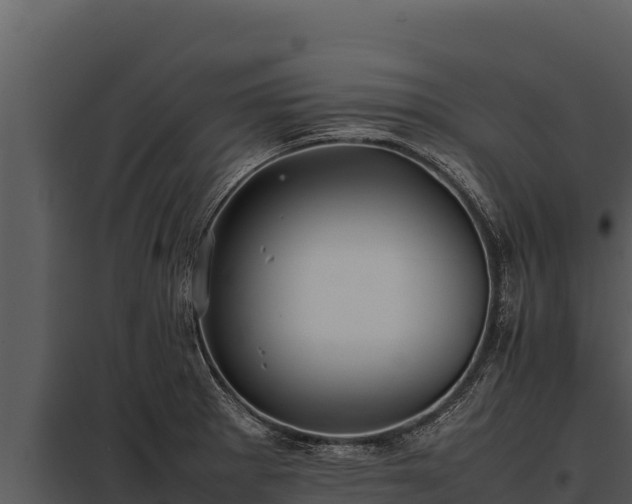 X0000097961281200804011649