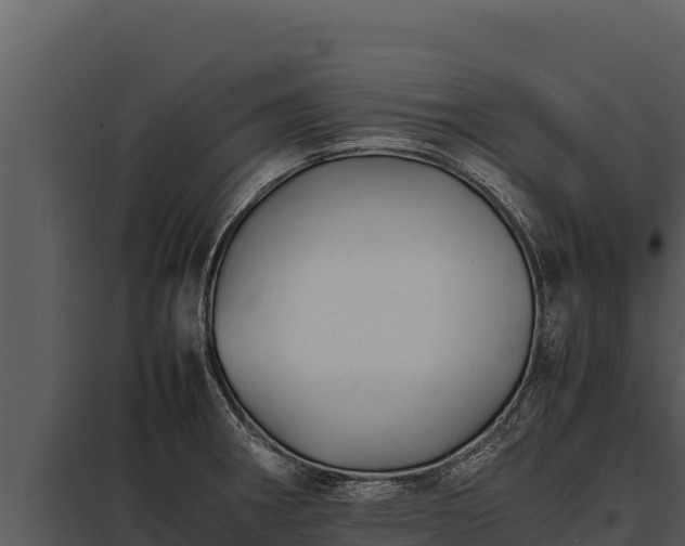 X0000097961282200804011649