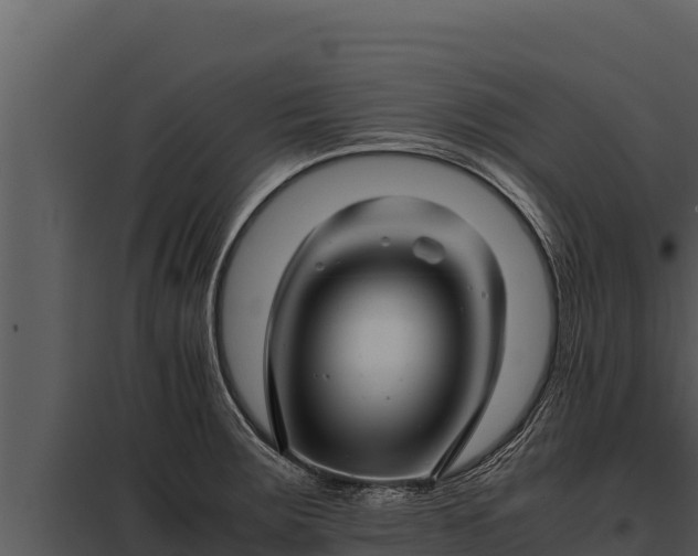 X0000097961283200804011649