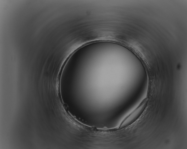 X0000097961284200804011649