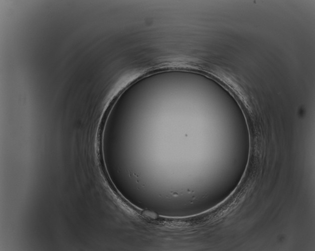 X0000097961285200804011649