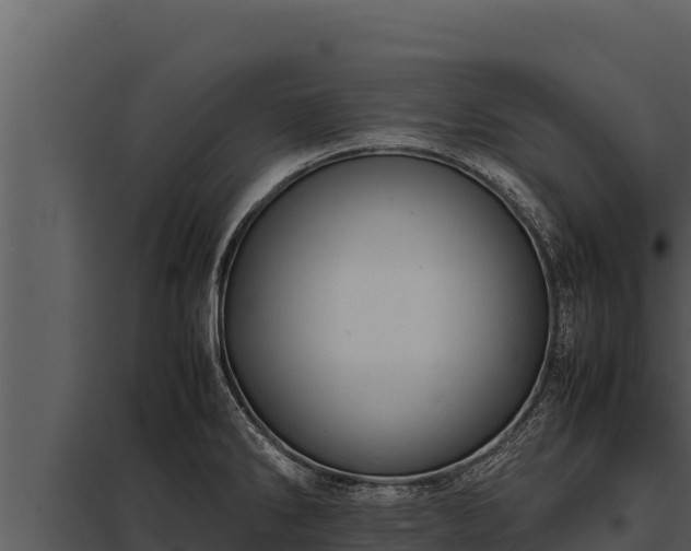 X0000097961286200804011649