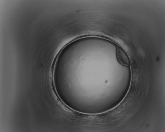 X0000097961287200804011649