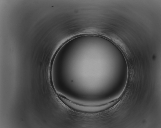 X0000097961288200804011649