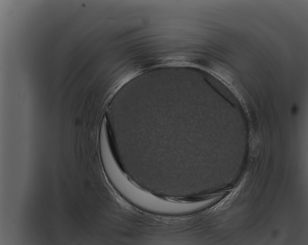 X0000097961289200804011649