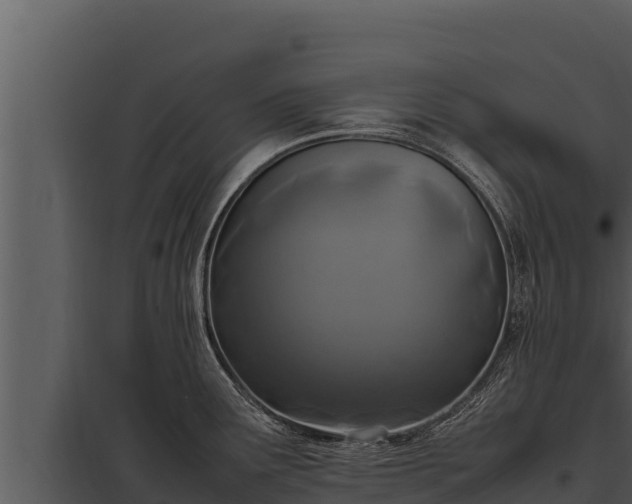 X0000097961291200804011649