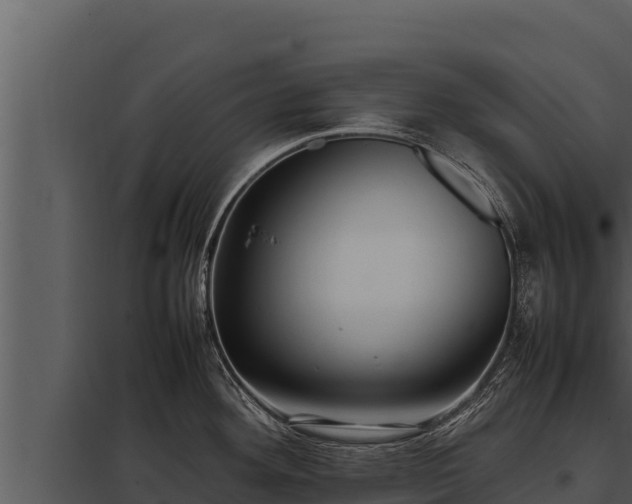 X0000097961292200804011649