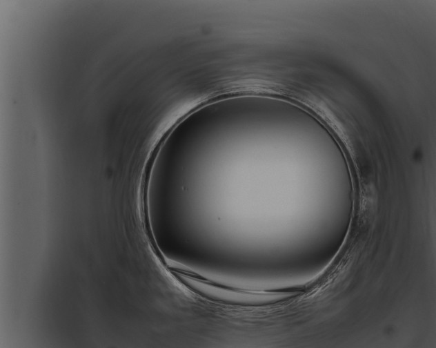 X0000097961293200804011649