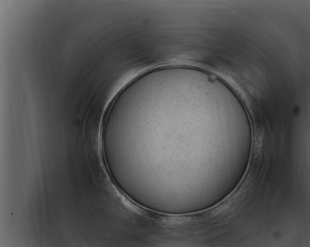 X0000097961294200804011649