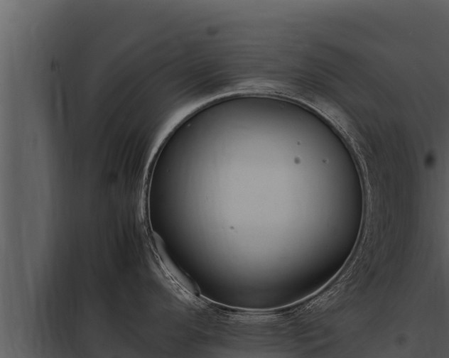 X0000097961296200804011649