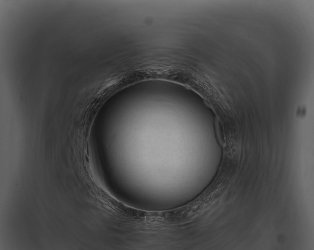 X0000097961297200804011649