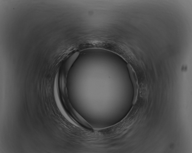 X0000097961298200804011649